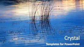  Presentation with merger sunset - Presentation theme with water reed - sunset by the lake background and a  colored foreground