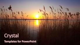  Presentation with water river - PPT layouts enhanced with water reed - sunset on the river background and a wine colored foreground