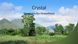  Presentation with wetland - Presentation theme having water reed - wetland background and a light blue colored foreground