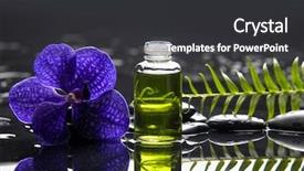  Presentation with fern - Slide set with water reflection - purple orchid with pebbles background and a dark gray colored foreground