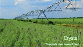  Presentation with sprinkler system - PPT theme consisting of water resource irragation - crop irrigation using the center background and a tawny brown colored foreground
