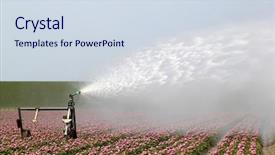  Presentation with water resource - Amazing PPT layouts having water resource irragation - spraying the tulip crop backdrop and a sky blue colored foreground