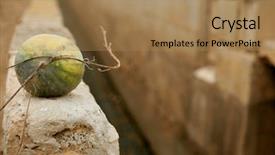  Presentation with agriculture irrigation - PPT theme having water resource irragation - watermelon over irrigation ditch canal background and a  colored foreground