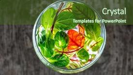  Presentation with salad - Beautiful presentation theme featuring water rocket - fresh salad leaves backdrop and a tawny brown colored foreground