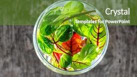  Presentation with salad - Theme enhanced with water rocket - fresh salad leaves background and a  colored foreground