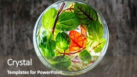  Presentation with tea leaves fresh green leaf - Audience pleasing presentation theme consisting of water rocket - fresh salad leaves backdrop and a tawny brown colored foreground