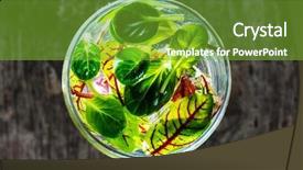  Presentation with rocket - PPT theme consisting of water rocket - fresh salad leaves background and a  colored foreground