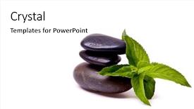  Presentation with water leaf - Slides having water rocks - mint leaf and stack background and a  colored foreground