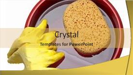  Presentation with view of egret birds - Theme having water sanitation - bucket with sponge and gloves background and a yellow colored foreground