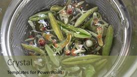  Presentation with water plant - PPT theme consisting of water-shield-aquatic-plant-chinese background and a coral colored foreground