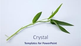  Presentation with spanish - Amazing PPT theme having water-spanish-or-kang-kong backdrop and a sky blue colored foreground