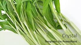  Presentation with spinach - PPT theme having water-spinach-isolated-on-white background and a mint green colored foreground