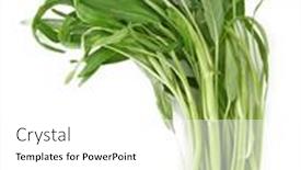  Presentation with spinach - Slide set enhanced with water-spinach-isolated-on-white background and a white colored foreground