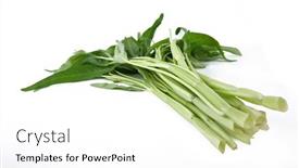  Presentation with spinach - PPT layouts with water-spinach-isolated-on-white background and a white colored foreground