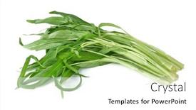  Presentation with spinach - Presentation theme consisting of water-spinach-isolated-on-white background and a white colored foreground