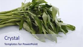  Presentation with spinach - Audience pleasing presentation theme consisting of water-spinach-isolated-on-white backdrop and a sky blue colored foreground
