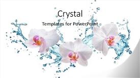  Presentation with blue water splash isolated - PPT theme having water splash isolated on white background and a white colored foreground