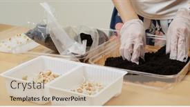  Presentation with water soil - Presentation theme featuring water-spray-on-soil background and a soft green colored foreground