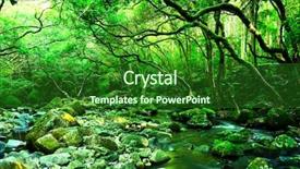  Presentation with spring water - Presentation theme enhanced with jungle free - water spring in forest background and a forest green colored foreground