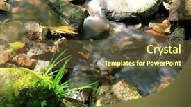  Presentation with spring water - Beautiful presentation theme featuring water spring in forest backdrop and a tawny brown colored foreground