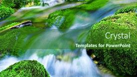  Presentation with forest stream - Presentation enhanced with water-stream-in-a-forest background and a forest green colored foreground