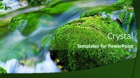  Presentation with forest stream - Audience pleasing presentation theme consisting of water-stream-in-a-forest backdrop and a forest green colored foreground