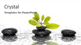  Presentation with stones - Slide set having water treatment plant - wet pebble stones with green background and a white colored foreground