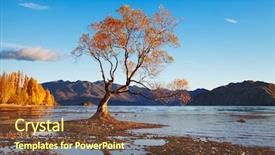  Presentation with new zealand - Amazing PPT theme having water trees - autumn landscape lake wanaka new backdrop and a tawny brown colored foreground