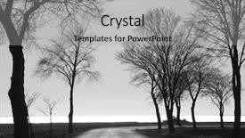  Presentation with art black and white marble - Slide deck having water trees - black and white landscape background and a light gray colored foreground