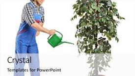  Presentation with decoration - PPT layouts having water trees - full length portrait background and a white colored foreground