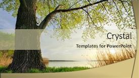  Presentation with spring water - Presentation design featuring water trees - old big tree spring nature background and a soft green colored foreground