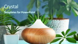  Presentation with vapor - Audience pleasing PPT theme consisting of water vapor - aroma oil diffuser and plants backdrop and a ocean colored foreground