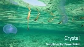  Presentation with weed - Theme featuring water weed - sea background and a ocean colored foreground