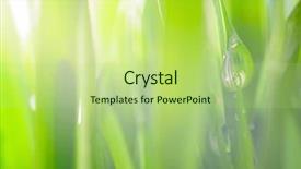  Presentation with water sun - Audience pleasing presentation consisting of water wheat - fresh wet grass in sun backdrop and a mint green colored foreground