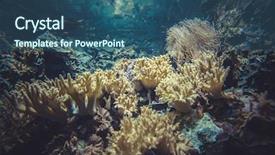  Presentation with healthy habit - Colorful PPT theme enhanced with water wise - healthy coral reef backdrop and a ocean colored foreground