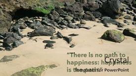  Presentation with quote - Slide deck featuring water wise - inspirational quote by the buddha background and a soft green colored foreground