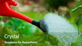  Presentation with desert gardening - Beautiful PPT layouts featuring mosque of sheikh zayed in uae backdrop and a blonde colored foreground