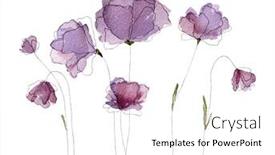  Presentation with watercolor summer floral - PPT theme with watercolor-spring-summer-flowers-blossom background and a white colored foreground