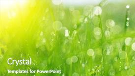  Presentation with soft focus abstract nature - Beautiful theme featuring waterdrops - fresh spring bokeh and green backdrop and a shamrock green colored foreground