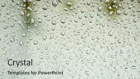  Presentation with rain fall - PPT theme enhanced with waterdrops - wet glass with drops background and a light gray colored foreground