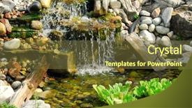  Presentation with pond - Colorful presentation theme enhanced with hooded merganser mergus cucullatus in flight over the atlantic ocean note shallow depth of field backdrop and a seafoam green colored foreground