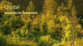  Presentation with croatia - Audience pleasing PPT theme consisting of waterfall-in-plitvice-national-park backdrop and a tawny brown colored foreground