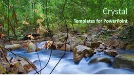  Presentation with tropical forest - PPT theme featuring waterfall in tropical forest mountain river stones with moss and green trees background and a tawny brown colored foreground