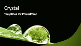  Presentation with water drop - Amazing presentation having tree in water drop backdrop and a black colored foreground