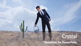  Presentation with cactus - PPT layouts with watering cactus in the desert background and a gray colored foreground