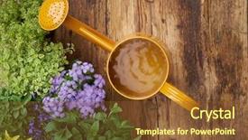  Presentation with garden tools - Audience pleasing PPT layouts consisting of watering can watering agriculture - frame of garden tools backdrop and a tawny brown colored foreground