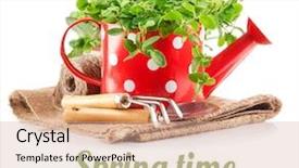  Presentation with garden tools - PPT layouts having watering can garden tools background and a soft green colored foreground