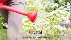  Presentation with flowers - PPT theme consisting of watering can in her garden background and a  colored foreground