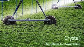  Presentation with crops - PPT layouts enhanced with watering field of green crop background and a tawny brown colored foreground