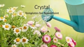  Presentation with garden - Presentation design consisting of watering flowers in garden centre background and a blonde colored foreground